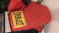 Photo of a pair of red Everlast boxing gloves size 16 with visible logo on the wrist area.