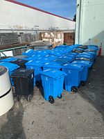 Photo of multiple blue recycling bins and one black garbage bin lined up outdoors, showing quantity and condition.