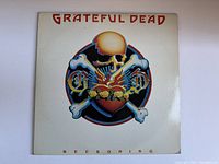 Front cover of Grateful Dead Reckoning album showing artwork with skull, bones and heart.