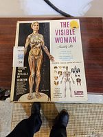 Box of The Visible Woman anatomy assembly kit showing full human figure with muscles and skeleton.
