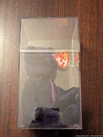 Princess Diana Beanie Baby plush toy in clear display case showing front profile with tag in separate small case attached.