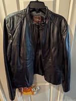 Front view of the black leather jacket showing zipper and snap button collar.