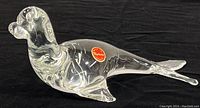 Full view of the Murano clear glass sea lion figure on black background, showing original label and overall shape.