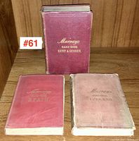 Three antique Murray's travel guide books on shelf: Kent & Sussex (standing), Spain and Ireland (lying flat) showing cover condition.