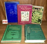 Five vintage books about ferns and wildflowers displayed standing and lying on a wooden shelf. Covers show antique wear and color variation between volumes.