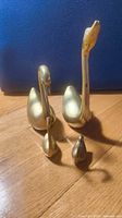 Front view of all four brass swans grouped