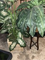 Two artificial plants approximately 3ft tall each in square beige containers, showing variegated and large green leaves