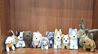 Full view of all 11 plush pets lined up for the lot.