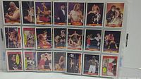 Front sides of various wrestling cards showing wrestlers and wrestling poses, arranged in plastic sheet