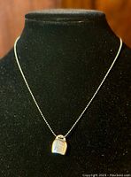 Full view of the necklace on a black display stand showing the pendant and chain length.
