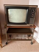 Front view of vintage Admiral 19-inch CRT TV on metal stand with caster wheels, showing screen and control panel.