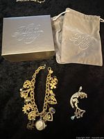Photo of the charm bracelet and crescent moon pin with original Kirk's Folly box and velvet bag on black background.