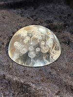 Top perspective of clear dome glass paperweight showing subtle white 3D sea nettles inside scattered around the interior.