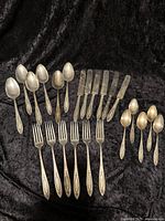 Full set of flatware including spoons, knives, forks laid out on black velvet.