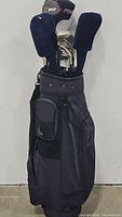 Full view of golf bag with clubs and headcovers
