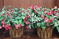 Two artificial red floral hanging baskets with dense green leaves and red flowers, placed side by side against a wood panel background.