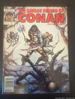 Full cover of the comic book showing Conan, female character and spider in a fantasy environment.