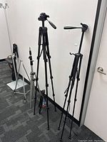 Wide shot showing five camera/light stands lined up against wall including Neewer and Manfrotto tripods and three metal stands in black and silver.