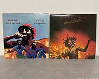 Front covers of both vinyl records showing Peter Tosh 'Bush Doctor' with a dark background and Toots & The Maytals 'Funky Kingston' with bright artwork.