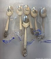 Six sterling silver spoons laid out side-by-side, each in a clear protective sleeve showing detailed decorative handles.