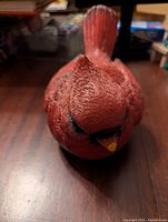 Front close-up view showing textured feathers on head and red color with black around eyes and yellow tipped beak.