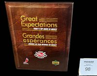 Photo of the front of the custom binder housing the 1995-96 Great Expectations hockey card set, showing brown leather-like cover with gold text and logos.