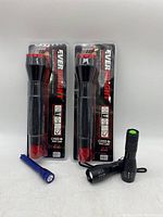 Two new Everbright LED flashlights in original packaging alongside three smaller flashlights.