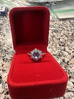 Ring in red velvet box showing overall presentation and ring shape.