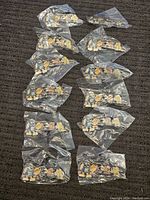 Top view showing all twelve pins individually sealed in plastic bags arranged on surface.