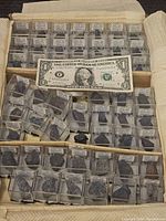 Wide shot showing many small rock specimen samples in clear plastic display boxes inside a container with a US dollar bill for scale.