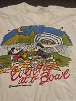 Front view of white vintage 1980s T-shirt showing colorful Disney picnic graphic with Mickey Mouse and Goofy at Rose Bowl and red script text.