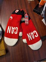Pair of red mittens with white fingertips and 'CAN' lettering shown on a wooden surface.