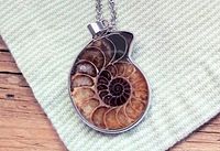 Close-up photo of the fossilized ammonite shell pendant with visible crystals and silver bezel setting on a light textured fabric.