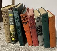Side view of 9 vintage hardback books, mostly by Zane Grey, showing titles and cloth cover colors