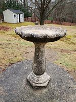 Concrete bird bath with scalloped edge and weathered surface, standing on a hexagonal pedestal on outdoor ground.