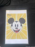 Front view of the Disney Mickey Mouse print showing full design and border