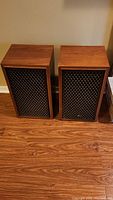 Both speakers side by side on floor, wood veneer cabinets with metal mesh grilles