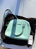 Light green dome-shaped leather purse with gold hardware, resting on a black soft case.