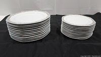 Stacks of 12 dinner plates and 11 salad plates showing the shape and pattern