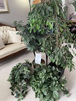 Four assorted artificial plants shown together, including one tall tree about 6 feet and three smaller foliage plants, all with green leaves.