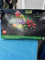 Photo of the LEGO Botanical Collection Succulents box showing the assembled plants in various colors on a black base.