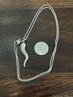 Sterling silver necklace laid flat on a wooden surface alongside a Canadian quarter for scale, showing curved horn pendant and chain.