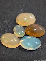 Top-down image of five oval cut opal cabochons placed on black background showing color play and translucency.
