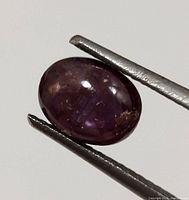 Close-up image of a natural star ruby held in tweezers, showing oval cabochon cut and reddish-purple color with visible asterism lines.
