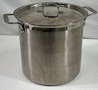 Front view of large stainless steel stock pot with lid in place, showing overall size and shape.