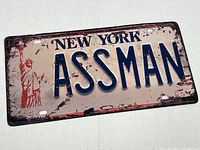 Full front view of the New York ASSMAN license plate showing embossed letters, distressed finish, and Statue of Liberty graphic on the left panel.