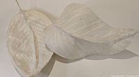Photo showing two large white papier-mâché leaves laid flat, highlighting their textured surfaces and naturalistic shape.