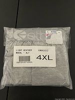 Photo of sealed plastic packaging showing the size 4XL and light heather modal fabric label, brand Ethika, UPC and barcode visible.