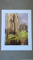 Matted photographic print showing artistic reflections of buildings and palm tree on glass surfaces with white matting border.