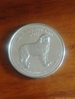 Silver Jubilee coin featuring Newfoundland dog with clear detailed embossing and lettering, photographed on wooden surface